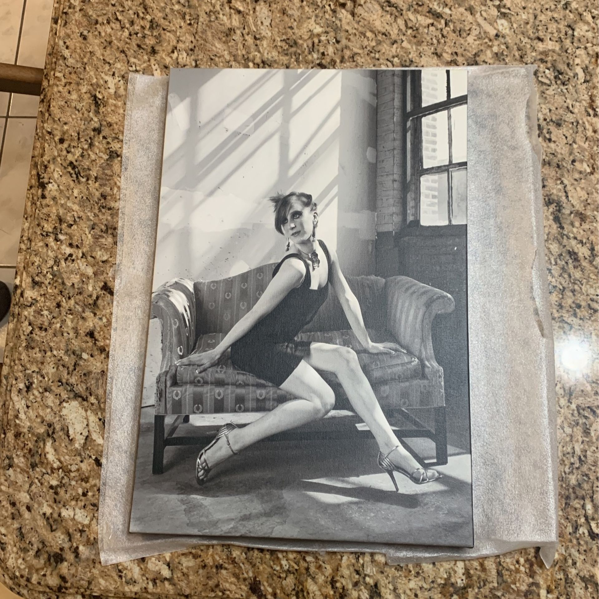 Portrait Picture 16x24.5