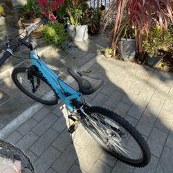 Bicycle 24 