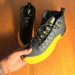 Jordan 12 Gold University 