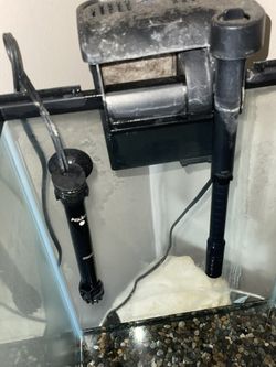 5 Gallon Fish tank