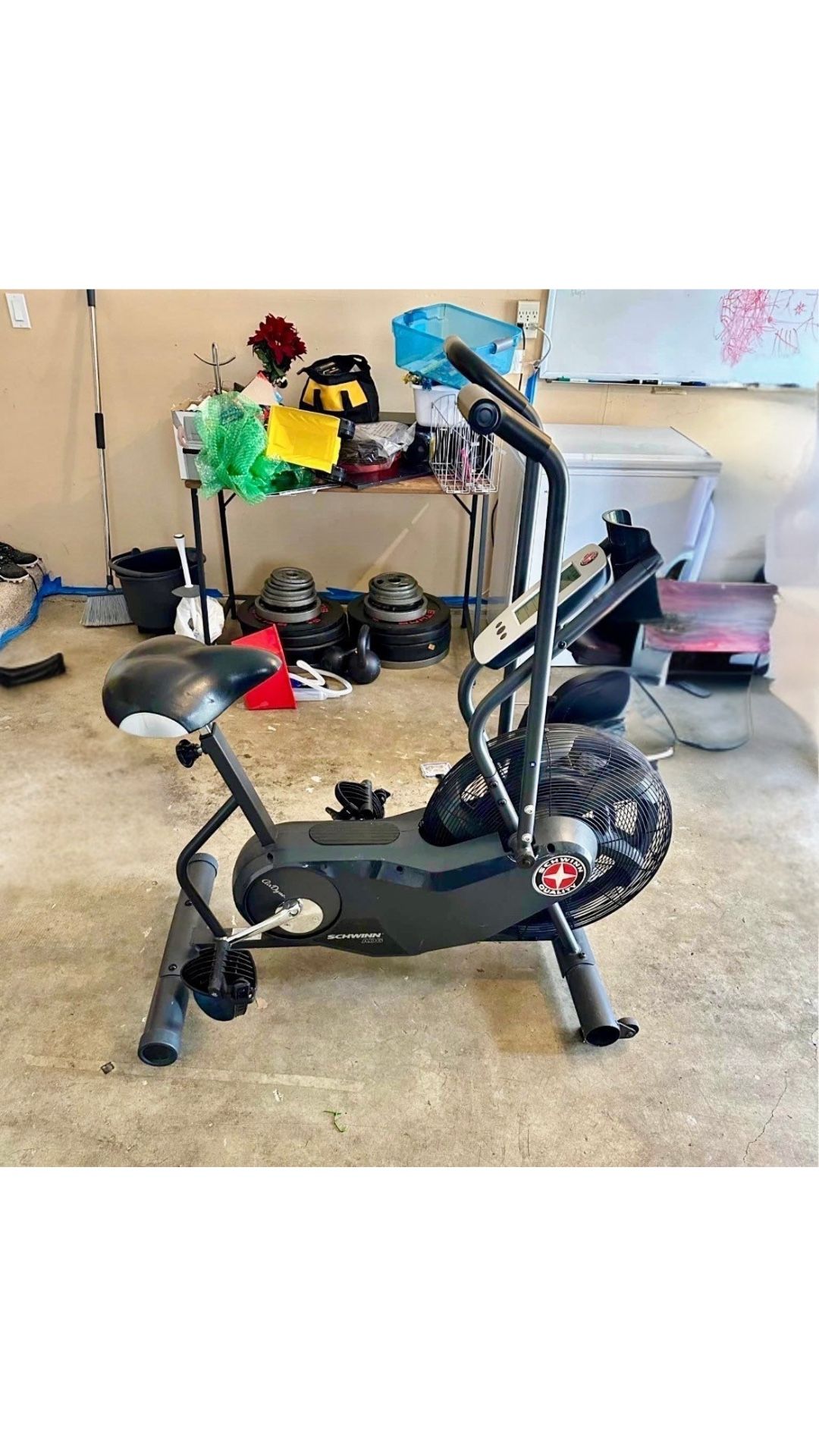Schwinn Airdyne Airbike AD6