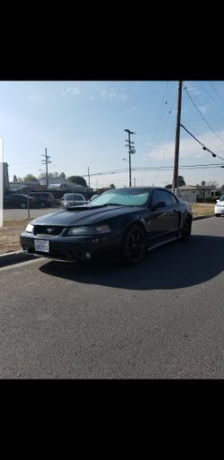 FOR SALE: 2000 FORD MUSTANG