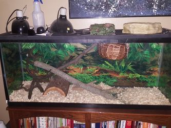 50 gal aquarium
