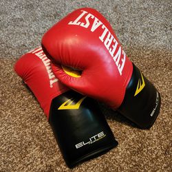 Everlast Boxing Gloves 14oz