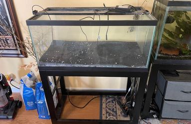 40 gallon long aquarium