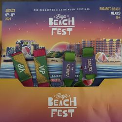 Baja beach fest, Tickets (VIP)