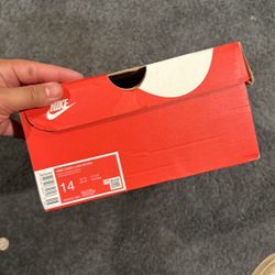 Nike Dunks Size 14