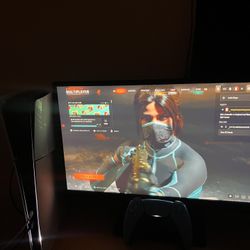 HP Monitor 