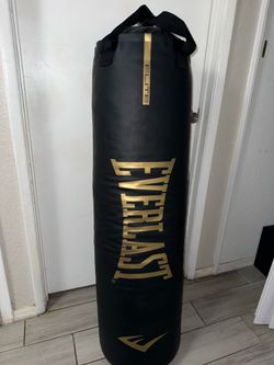 Everlast punching bag brand new