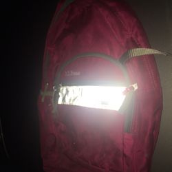 Lnew L.L. Bean backpack very nice only $20 firm