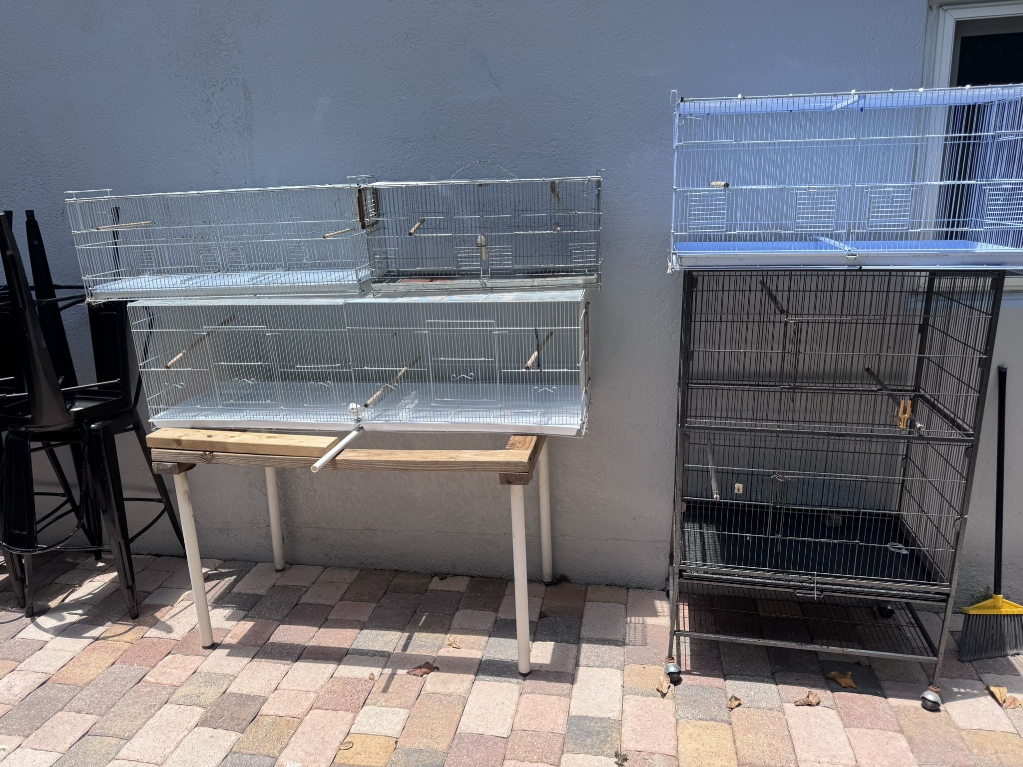 Bird Cage
