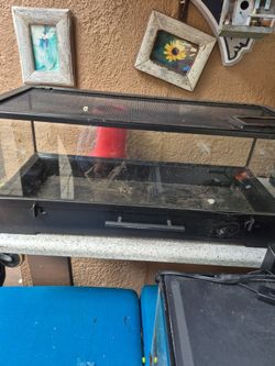 Lizard cage
