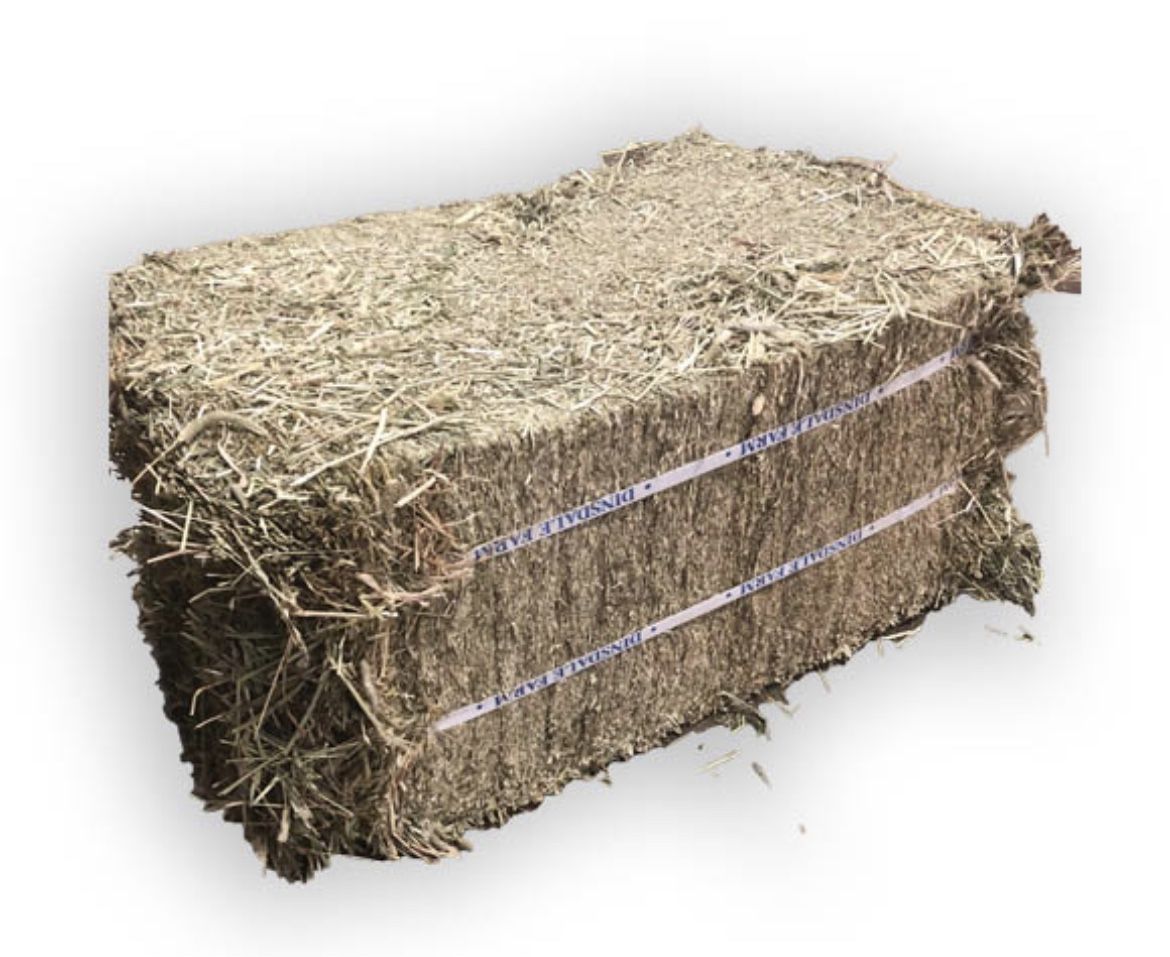 Hay For Sale- Timothy And Mixed Grasses