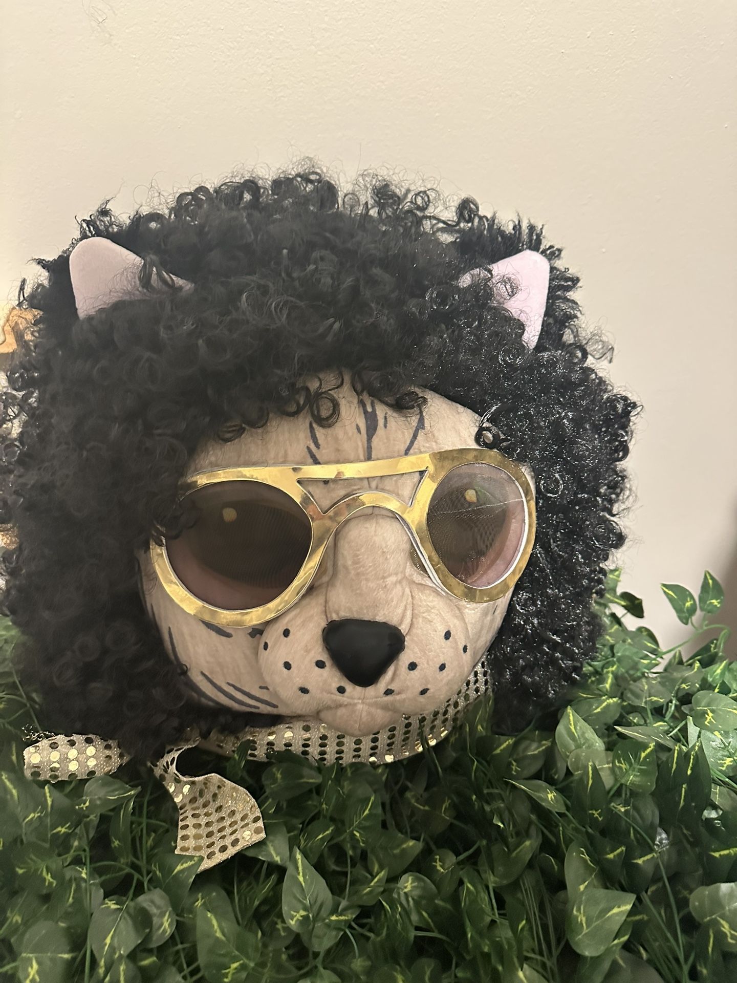 Cat Head Costume