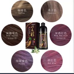 Shampoo Hair Dye