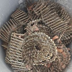 Roof Nails