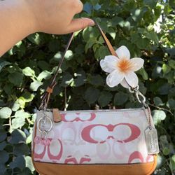Vintage Coach Bag