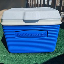 Mini Rubbermaid Cooler 
