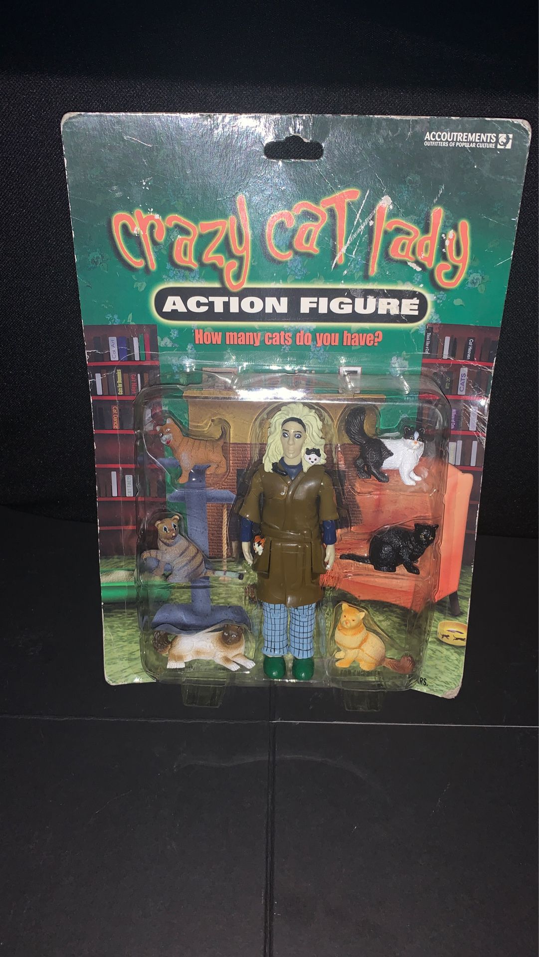 2004 Crazy Cat Lady action Figure