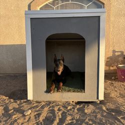 Dog House 