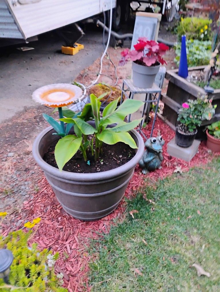 Lawn And Garden