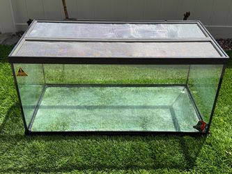 Terrarium 36”x 18”