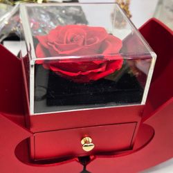 Luxury Rose Jewelry Box Gift Set – “I Love You” Necklace in 100 Languages – Romantic Apple Box