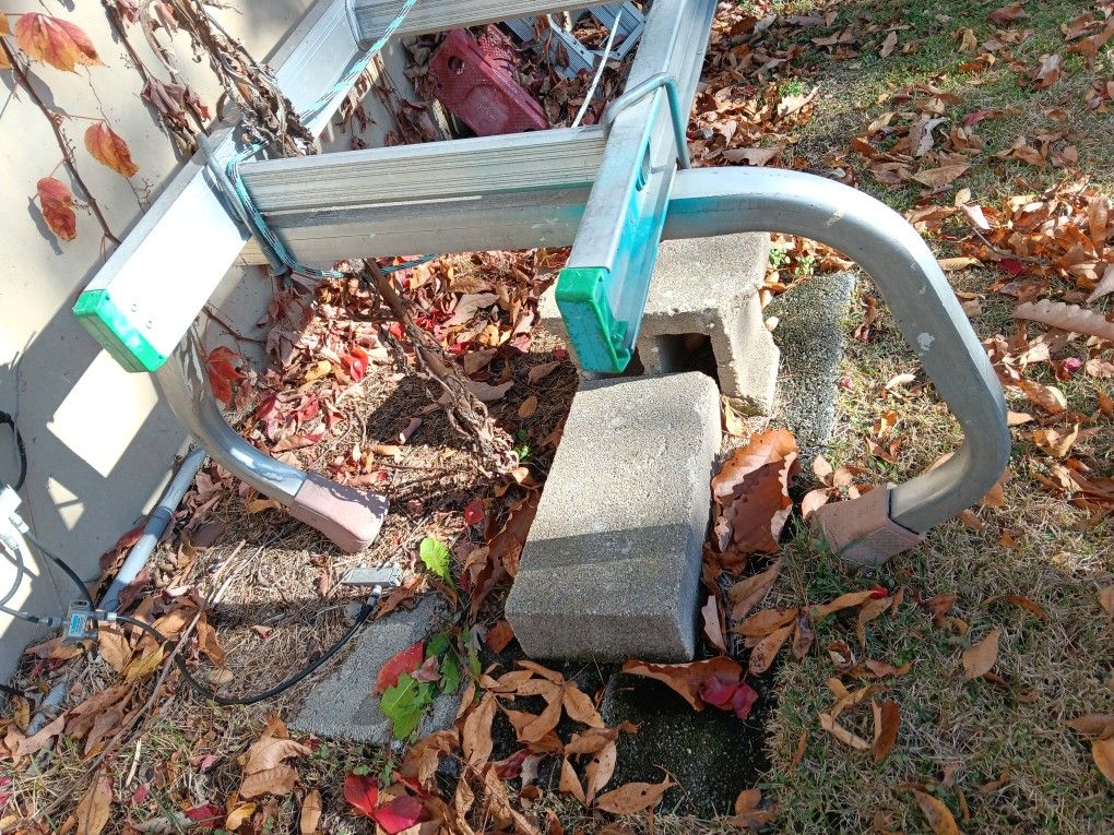 24 Ft Werner Ladder Green Tip