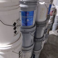 Fresh New Paint $50/ 5 Gallons