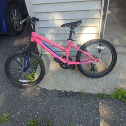 Nishiki Girl Bike