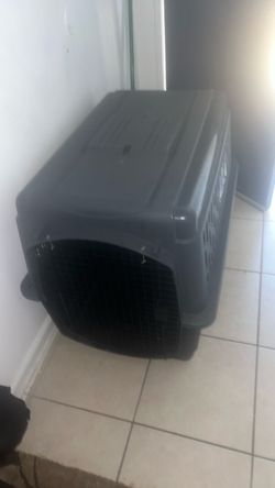 Dog kennel