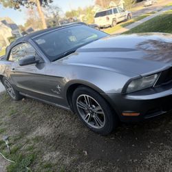 2010 Ford Mustang