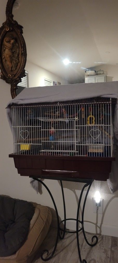 Cage And Two Birds