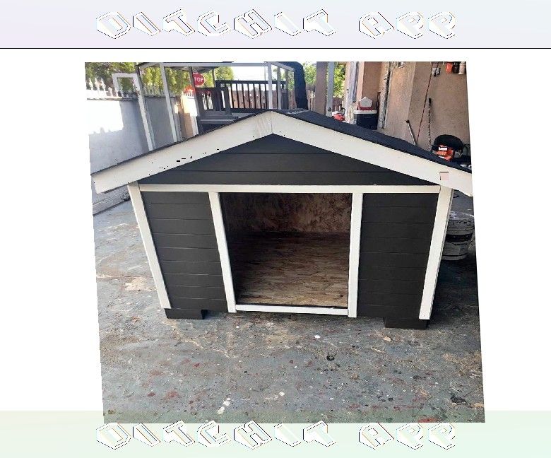 Comfy Dog Houses - Your Pet's Dream Home do election