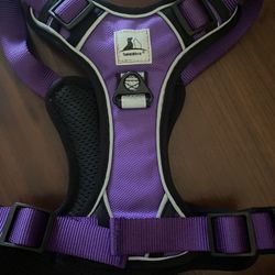 Dog Harness