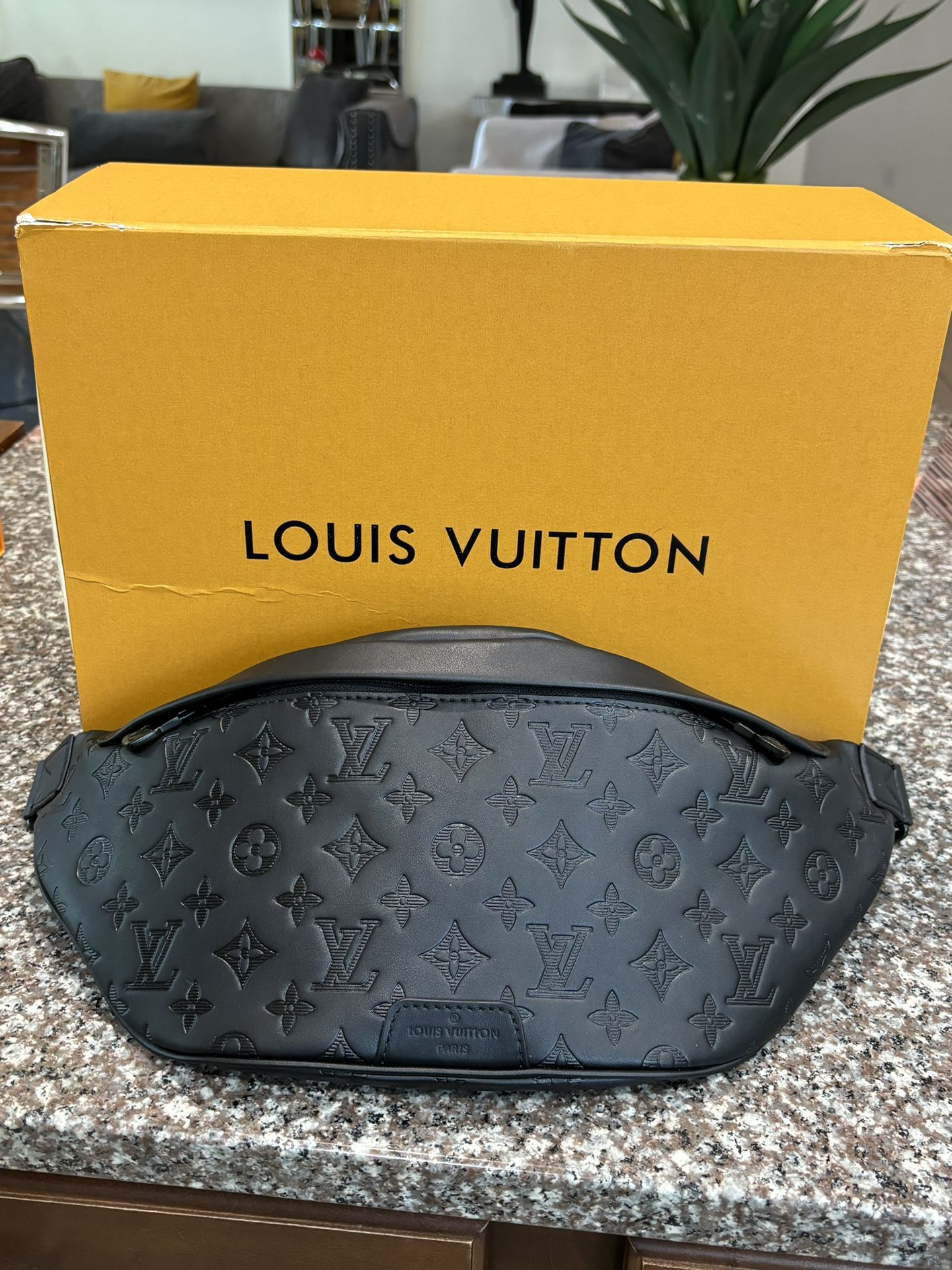 LV Louis Vuitton Bag