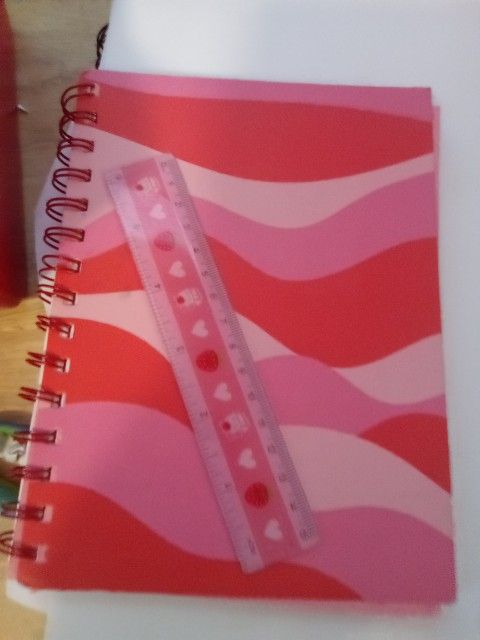 Pink Book With Matching Ruler