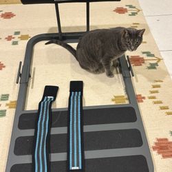 BC Strength Hip thruster with Two Resistance Band 