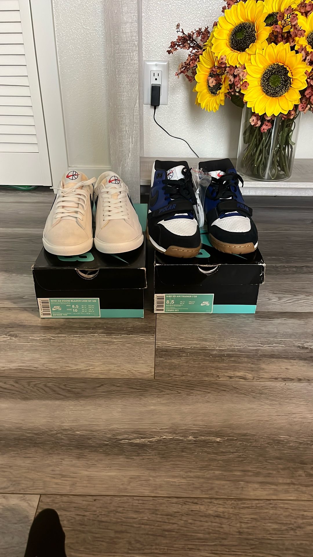 Nike Sb