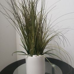 fake plant 