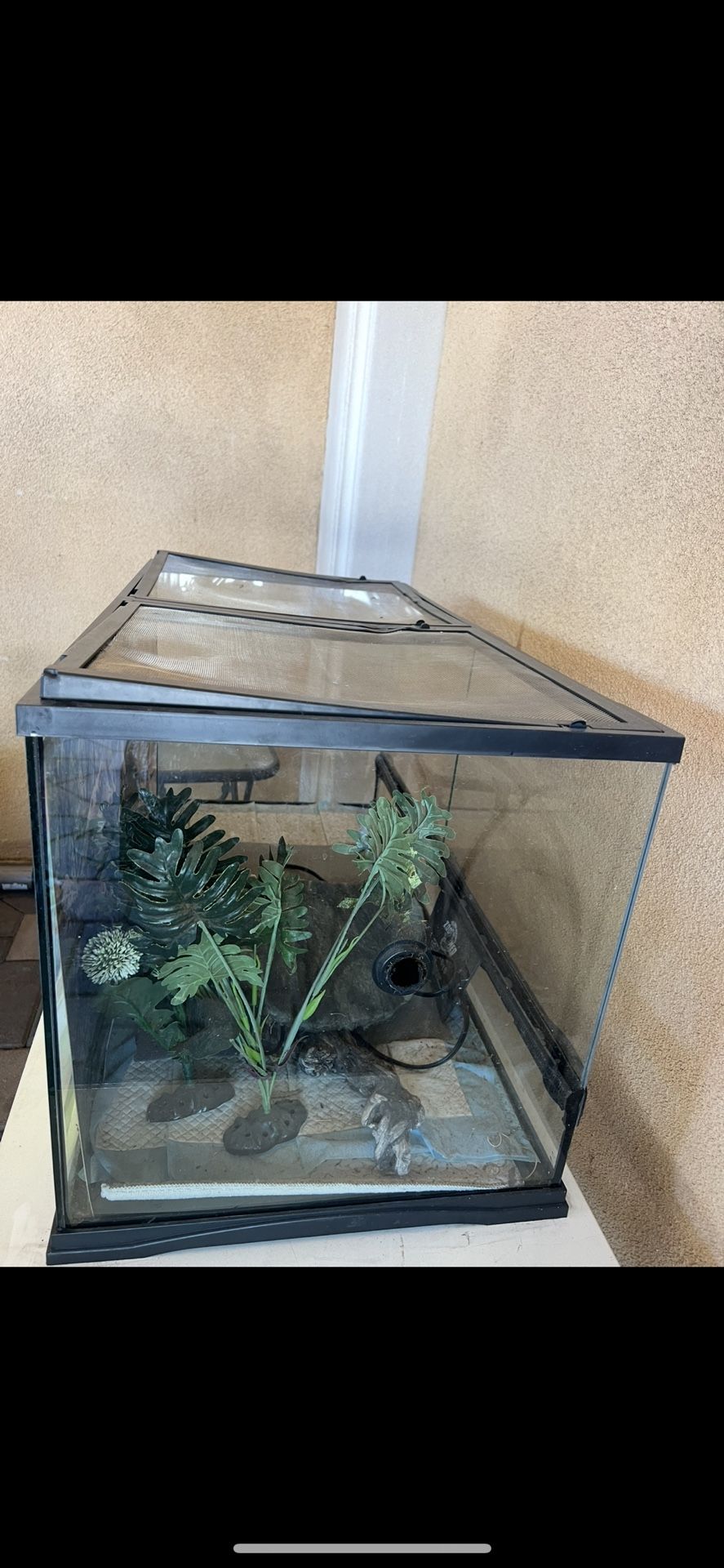 Aquarium Tank