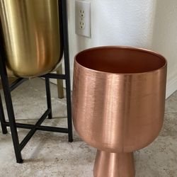 Plant Pot 