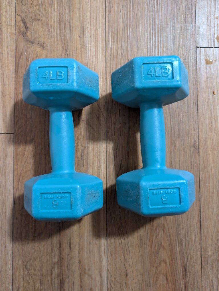 8LB ( 4LB Each) Dumbbell Set