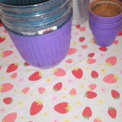 Planting Pots/Watering Cans