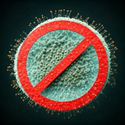 KILL MOLD - ELIMINATE ODORS - Ozone Specialist For Hire