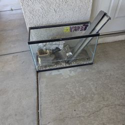 Turtle tank