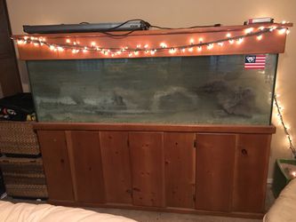 130 gallon fish tank
