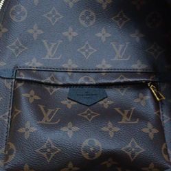 Louis Vuitton Palm Springs HANDBAGS monogram