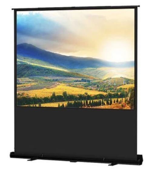 Dalite Projector Screen