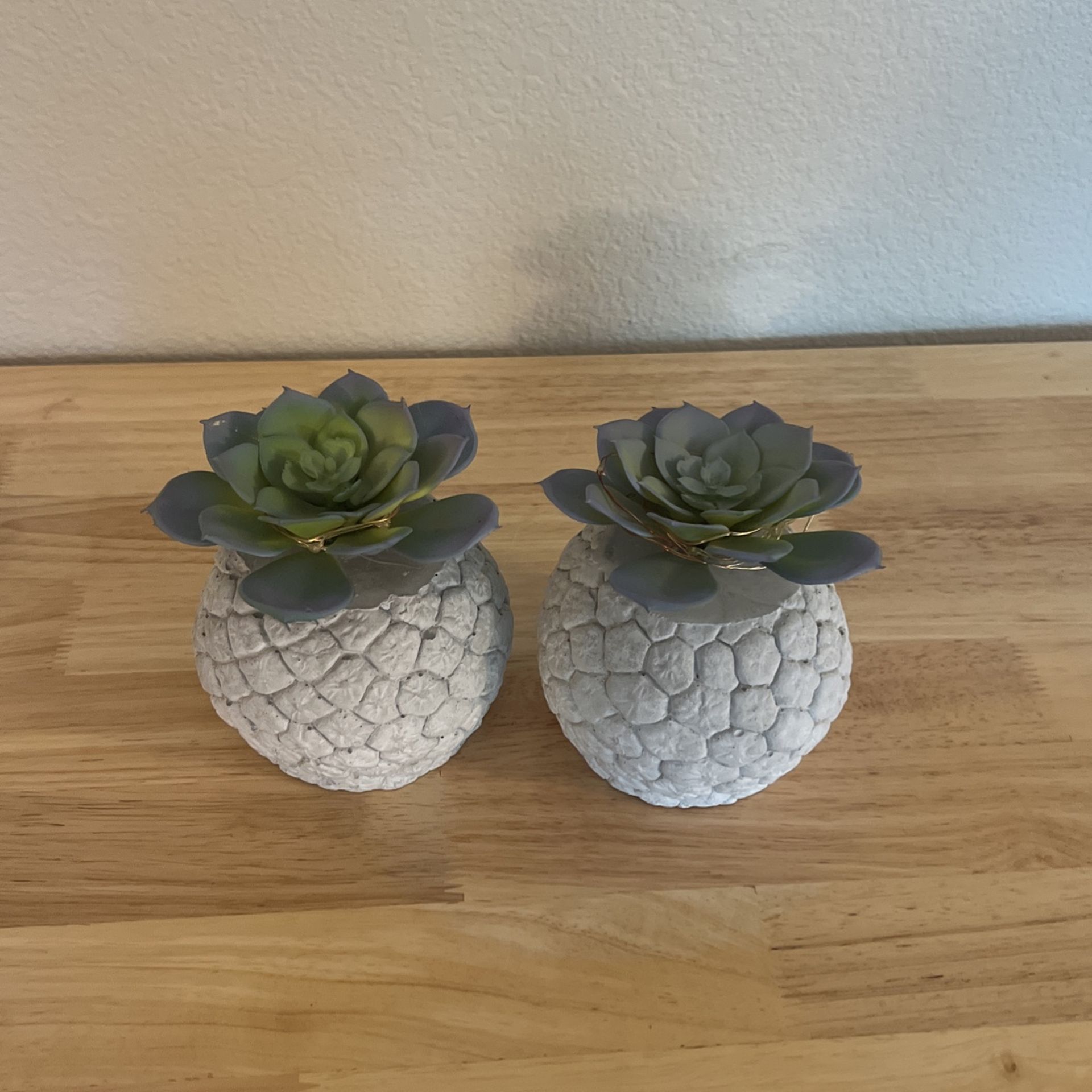 Artificial Succulent Lights